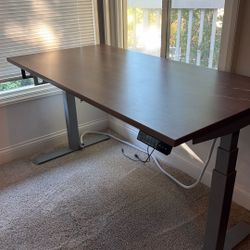 AMQ Active Pro (electric standing desk)