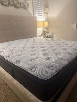 Serta mattress / Serta Perfect Sleeper King Mattress
