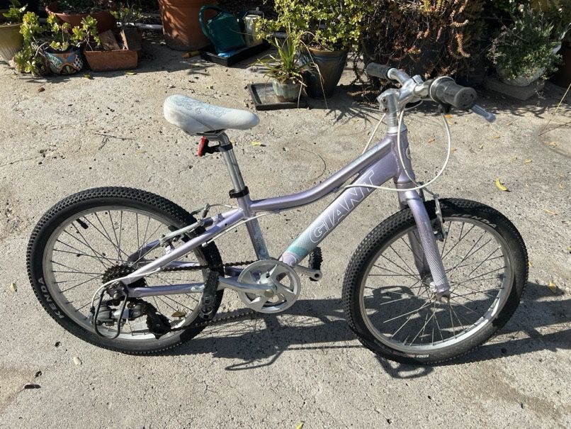 Kids Child Girls 20” Giant Mountain Bike