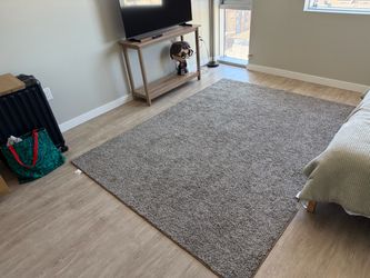 6x8 grey area rug (new)
