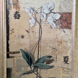 Framed Orchid Print