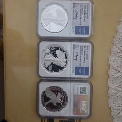 1 Dollar Silver Coin 