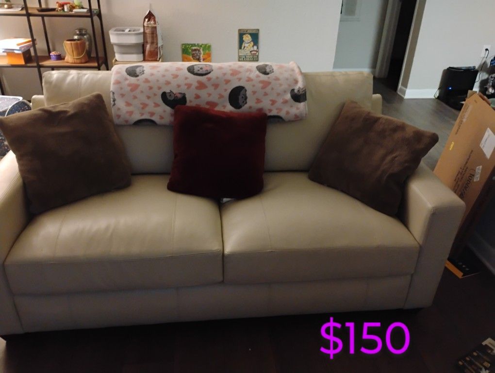 Pull Out Bed Loveseat