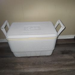 Cooler for drinks in good condition