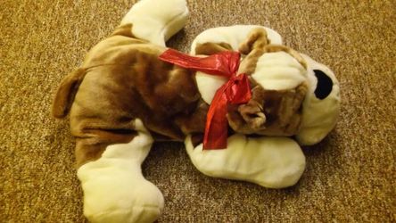 Dog gift present
