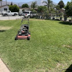 Jardinero Garden