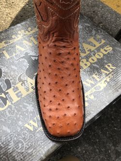 Bota rodeo original avestruz exótico