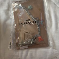 Coach Silver Swagger Chain