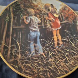 Collectible plates $7