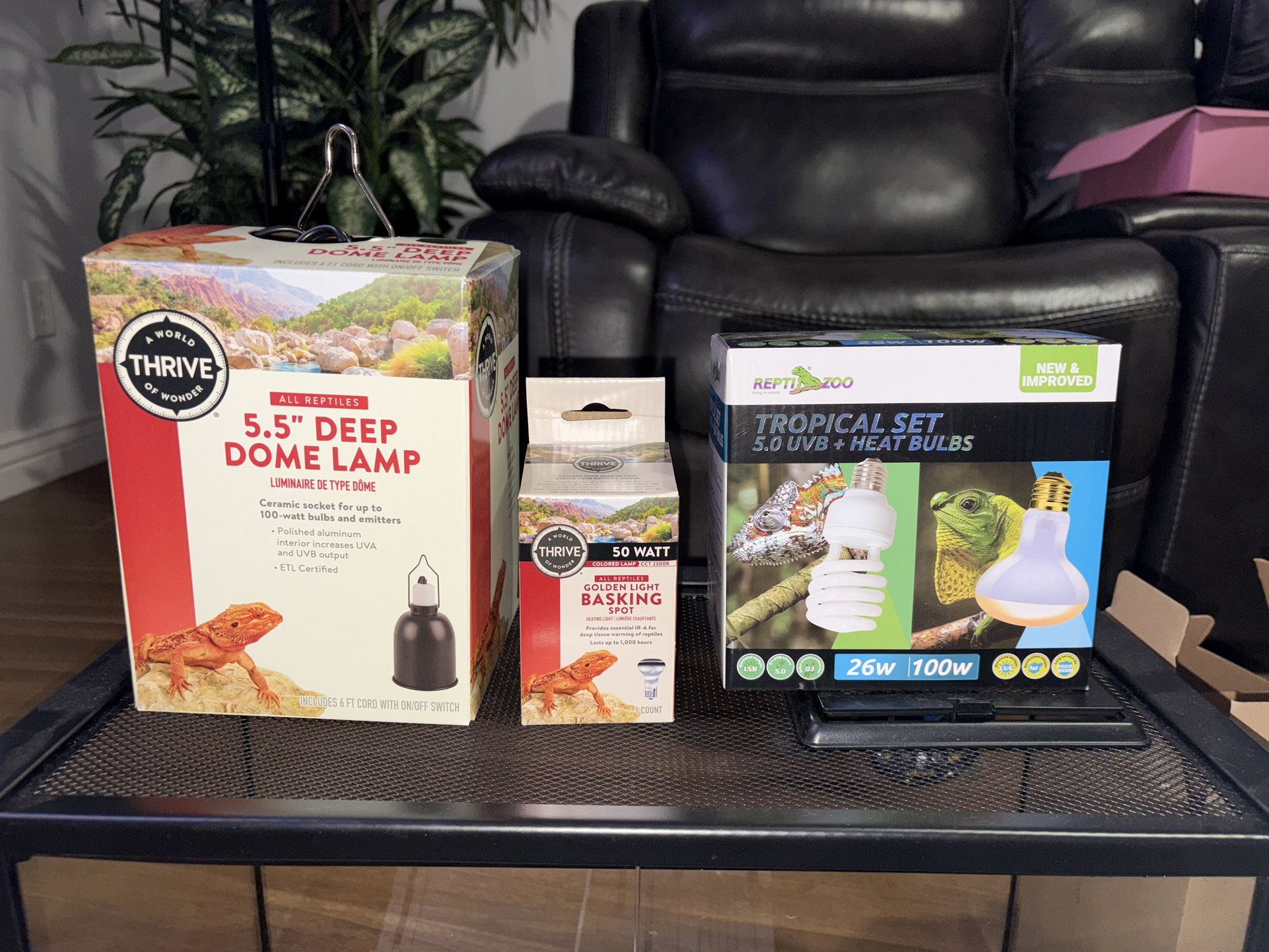 10 Gal Reptile Tank with Decor Lamps/bulbs