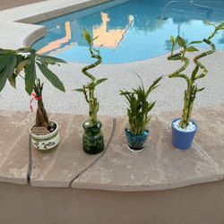 Feeling Stuck And Need A Little LUCK!! 🍀