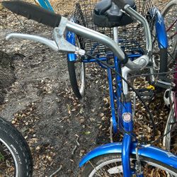  Meridian 3 Wheels Bike