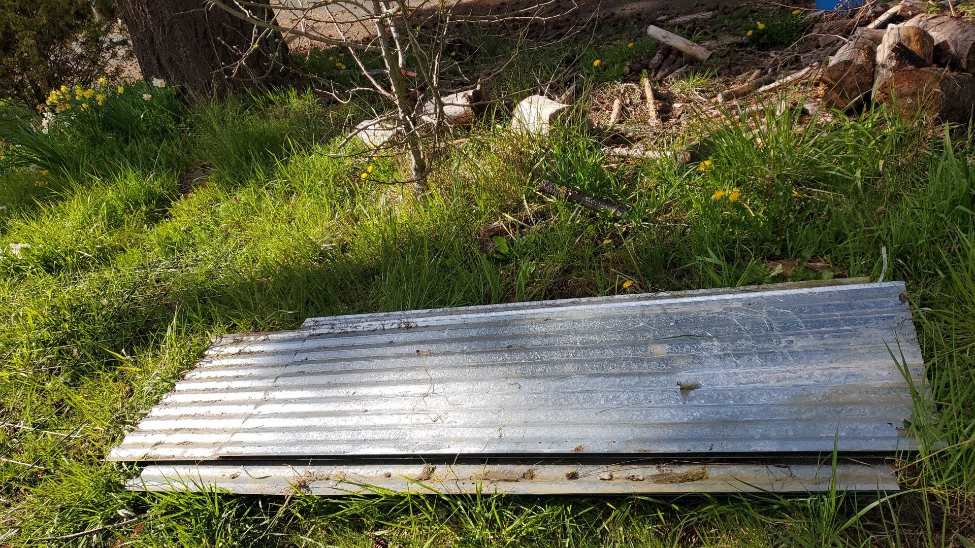 7 Corrugated metal sheets for Sale in Chehalis, WA OfferUp