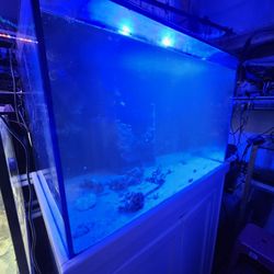 90 Gallons Crystal Dynamic Tank