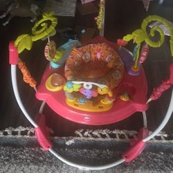 Fisher Price Baby Bouncer 