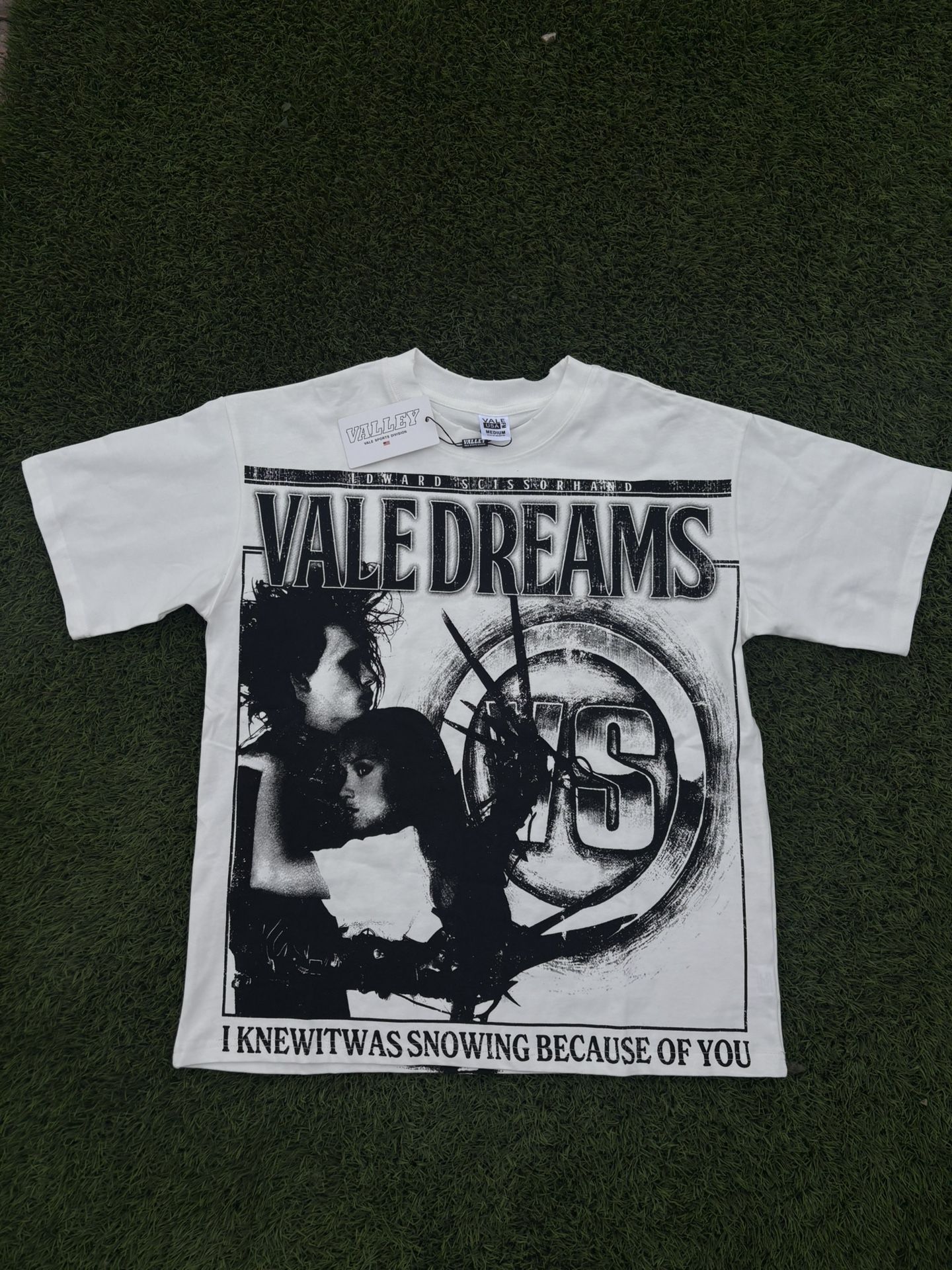 Vale Dreams Valley