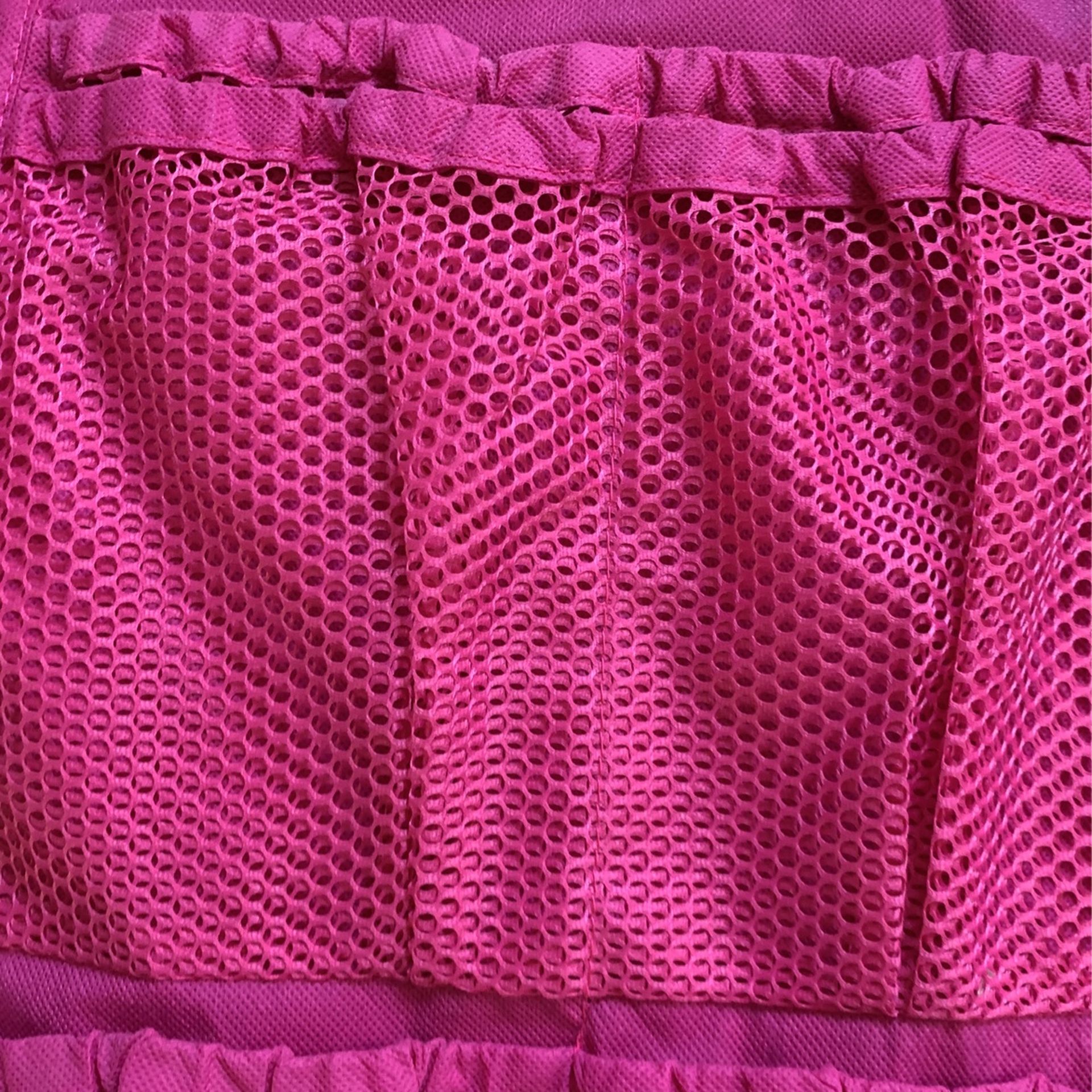 Pink Door Shoe Organizer