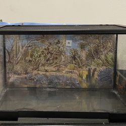 20 Gallon Terrarium