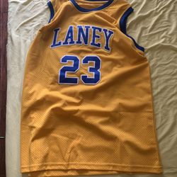 Michael Jordan Laney Jersey 