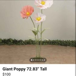 Giant Poppy Floral