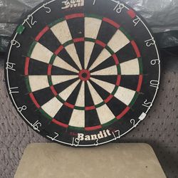 Brand New Dart Board