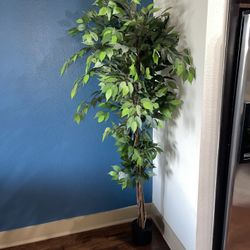 Hobby Lobby Artificial Plant 