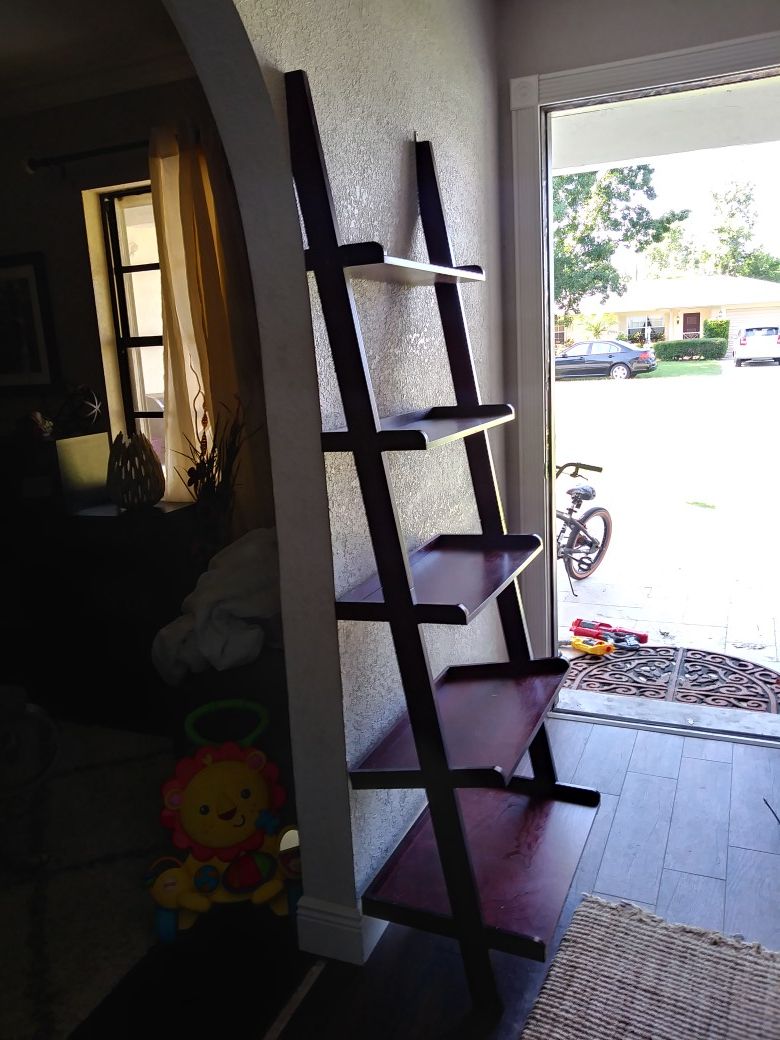 Ladder storage shelf