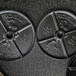 Rogue Fitness Arnold Schwarzenegger 45 LBs Weightlifting Plates - Garage Gym Hunter Certified 🎖️