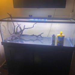 Fish Tank 50 Gallons