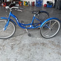 Trisiclo Schwinn 