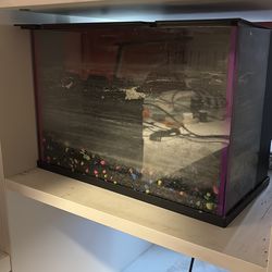 5 Gallon Fish tank