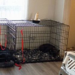 42 Inch Dog Cage 
