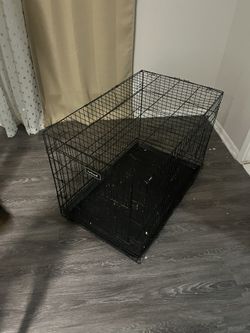 Large Kennel