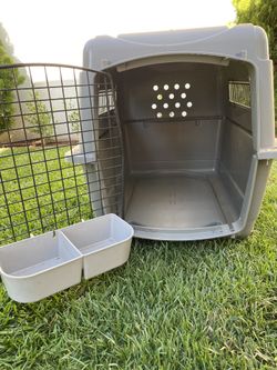 Dog Transport Kennel