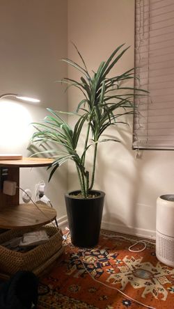 Faux Plant 