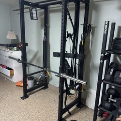 Rogue RML-390 squat rack with dip bar