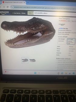 Cabeza real de cocodrilos