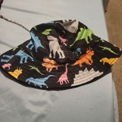 Dinosaur Bucket Hat 