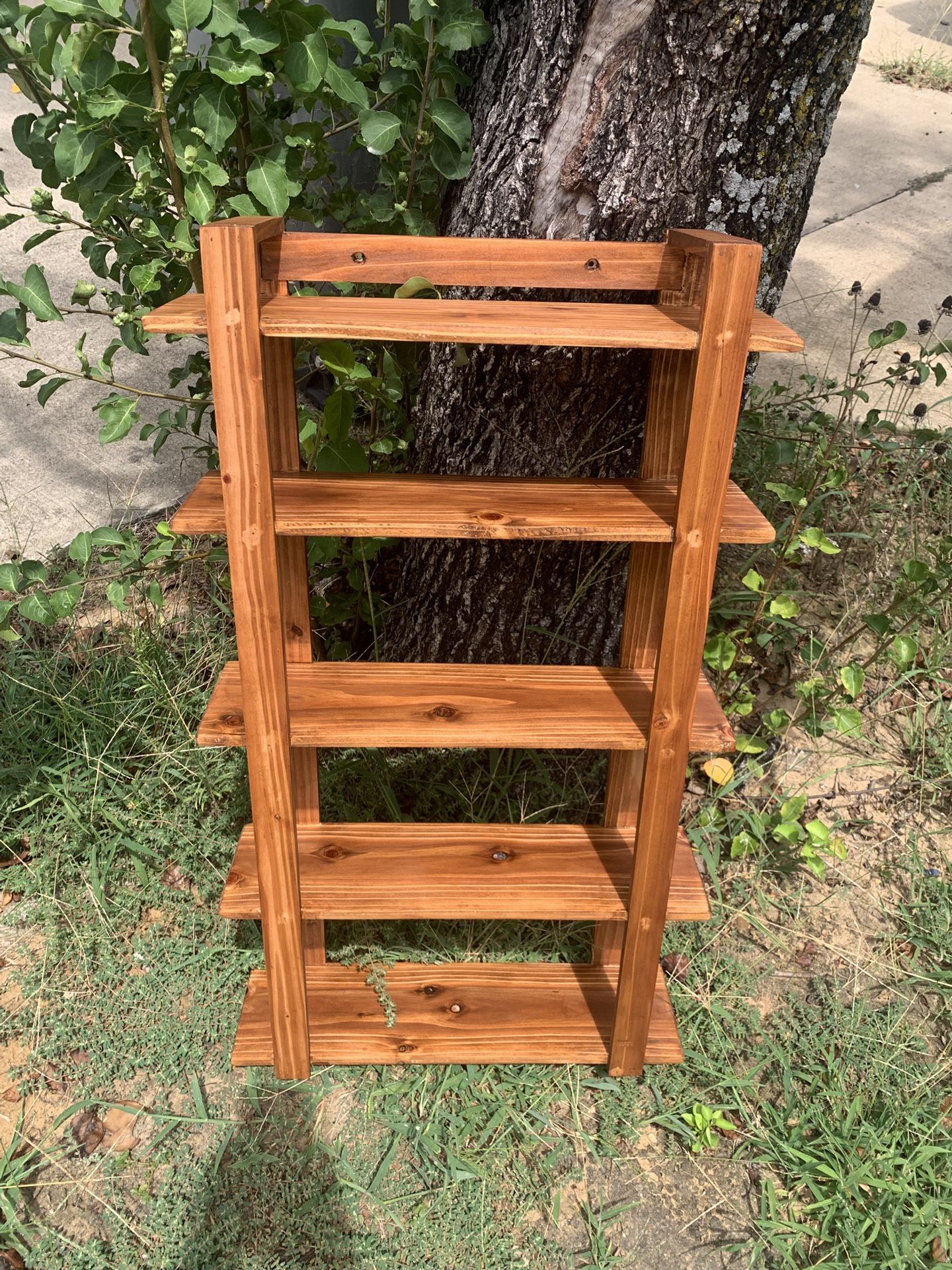 Cedar Shelf