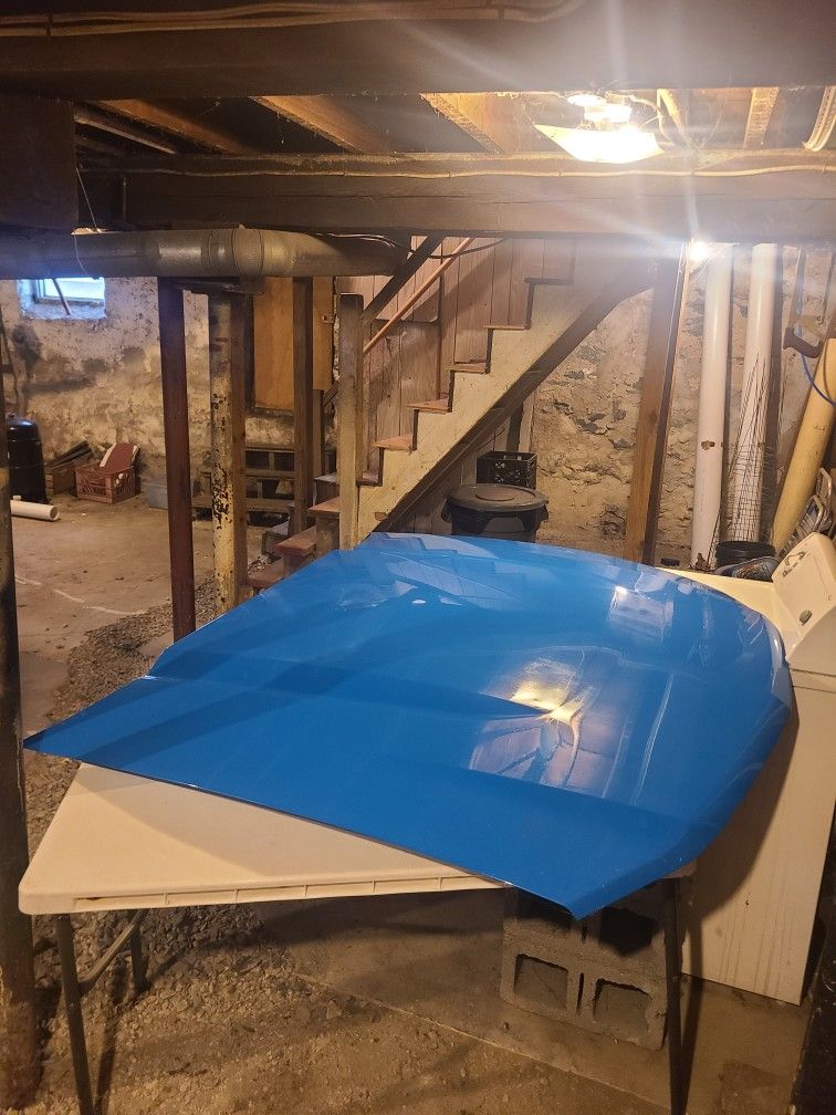 2010 Mustang GT Hood - Grabber Blue