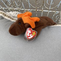 Rare Chocolate Beanie Baby