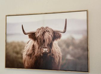 Framed Highland Cow Wall Art - Neutral Farmhouse Decor
