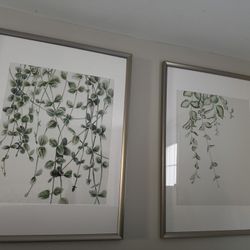 Framed Nature Artwork 29”x21”