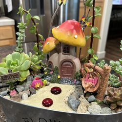 Mother’s  Day Gifts Succulents 