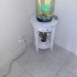 The Fish Tank And Table 