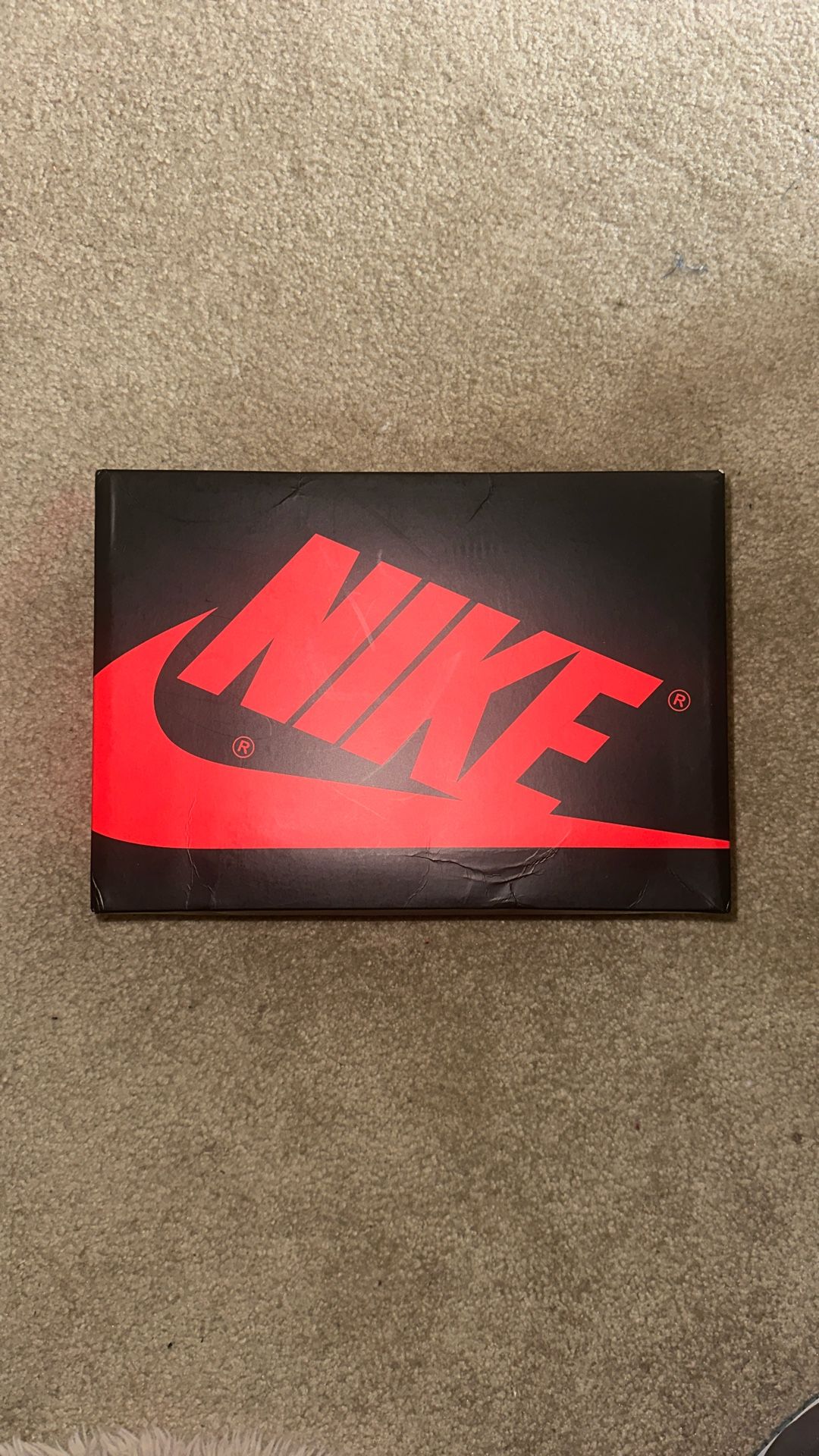 Jordan 1 Low DS