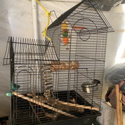 bird cage 