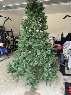 Christmas Tree 7ft 
