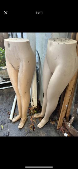 Maniquis