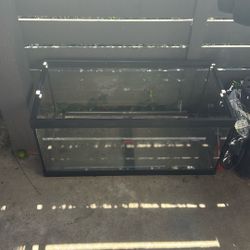 40 Gallons With No Cracks 